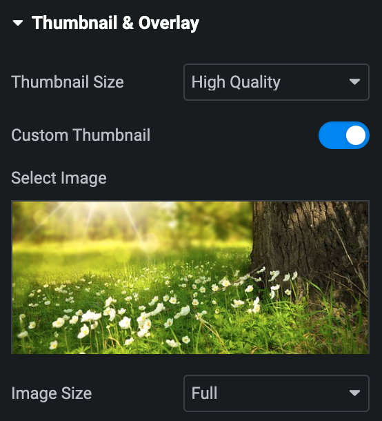 Video Box: Thumbnail & Overlay Settings
