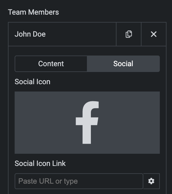 Team Member: Social Icon Settings(individual item)